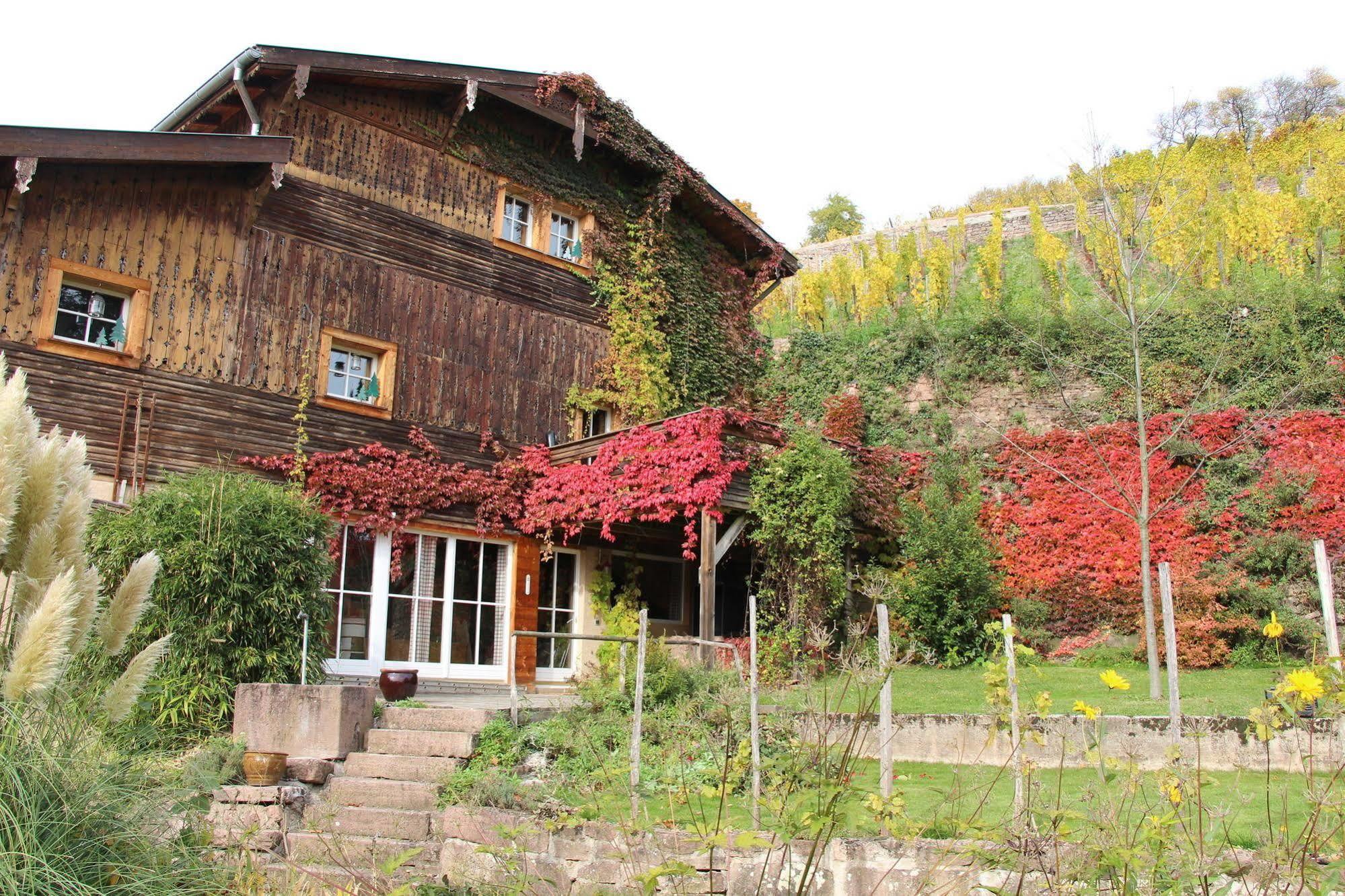 La Grange Du Couvent B&B Ribeauvillé Eksteriør billede